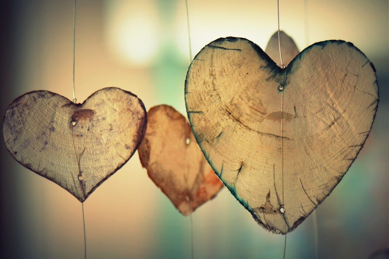 heart leaves
