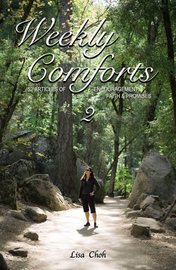 Weekly Comforts 2 Book Cover